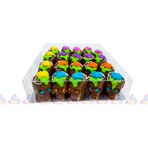 [106027] DM EST CHOC CRANEO N2 20s